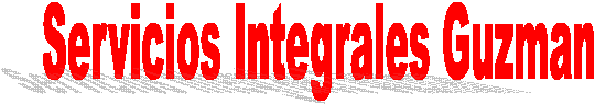 Servicios Integrales Guzman
